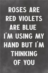 Roses Are Red Violets Are Blue I'm Using My Hand But I'm Thinking Of You