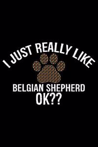 I Just Really Like Belgian Shepherd Ok?