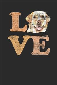 Love Labrador