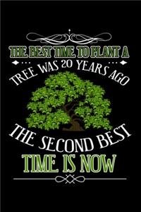 The Best Time to Plant a Tree