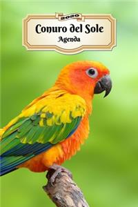 2020 Conuro del Sole Agenda