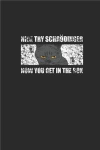 Nice Try Schrodinger