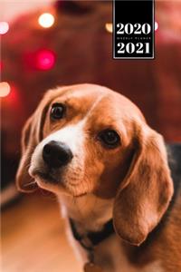 Beagle Dog Calendar Week Planner 2020 / 2021 - Innocently