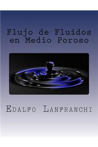 Flujo de Fluidos en Medio Poroso