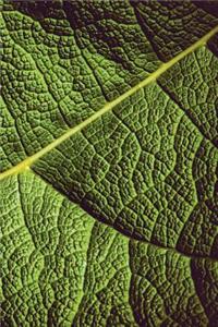 Leaf Veins Notebook