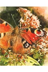 Butterfly Floral Garden Field Notes Notebook / Composition Journal