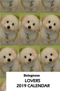 Bolognese Lovers 2019 Calendar