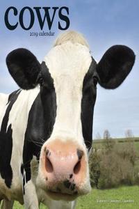 Cows Calendar 2019