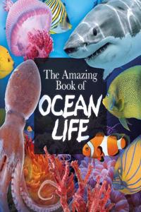 The Amazing Book of Ocean Life