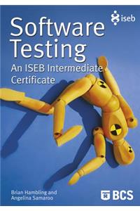 Software Testing