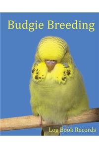 Budgie Breeding