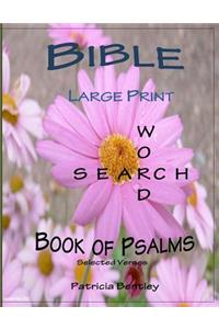 Bible Large Print Word Search