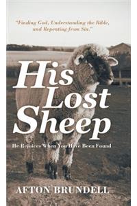 His Lost Sheep