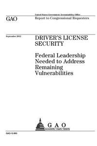 Driver's license security