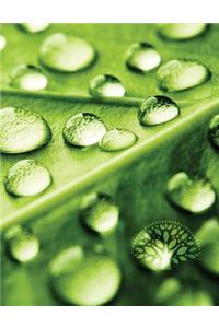 Dew Drop Leaf Grid Sketchbook