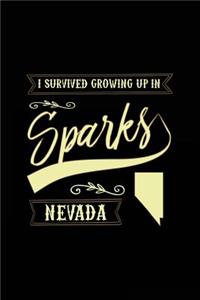 I Survived Growing Up In Sparks Nevada