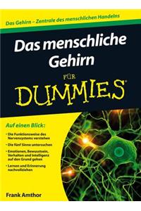 Das menschliche Gehirn fur Dummies