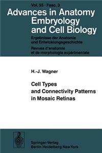 Cell Types and Connectivity Patterns in Mosaic Retinas