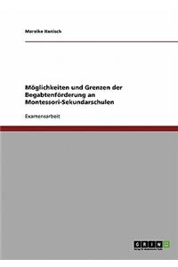 Moglichkeiten Und Grenzen Der Begabtenforderung an Montessori-Sekundarschulen