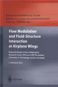 Flow Modulation and Fluid--Structure Interaction at Airplane Wings