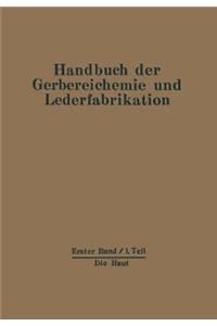 Die Haut
