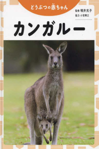 Kangaroo (Baby Animals)