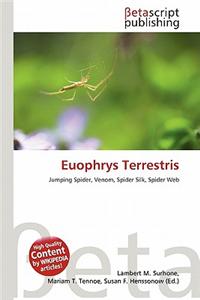 Euophrys Terrestris