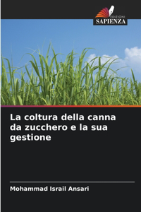 coltura della canna da zucchero e la sua gestione