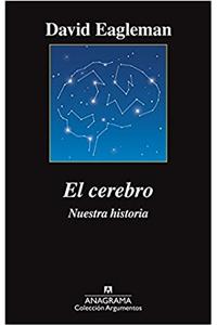 El cerebro/ The Brain: Nuestra Historia / the Story of You (Argumentos)