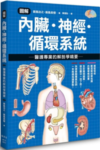 Illustration of Viscera, Nerves, Circulatory System - Essentials of Anatomy for Healthcare Professionals