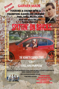 Spittin' On Bricks Magazine