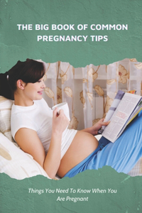 Big Book Of Common Pregnancy Tips