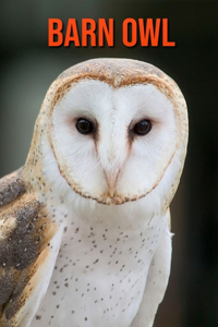 Barn owl