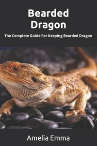 Bearded Dragon