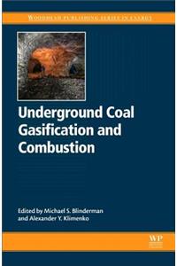 Underground Coal Gasification and Combustion