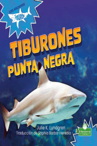 Tiburones Punta Negra (Blacktip Reef Sharks)