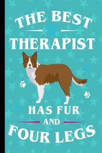 The Best Therapist Has Fur And Four Legs