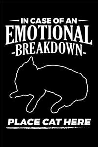 In Case of An Emotional Breakdown Place Cat Here