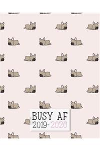 Busy AF 2019-2020
