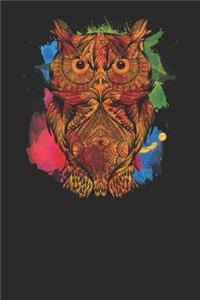 Owl Colorful