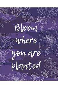 Bloom Where You Are Planted