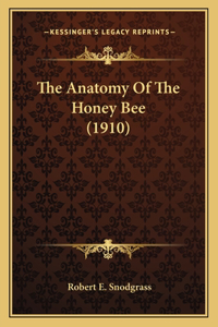 Anatomy Of The Honey Bee (1910)