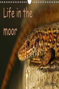 Life in the moor / UK-Version 2015