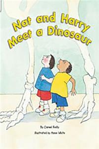 Rigby Flying Colors: Leveled Reader Bookroom Package Orange Nat and Harry Meet a Dinosaur