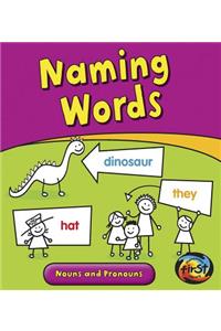 Naming Words: Nouns and Pronouns