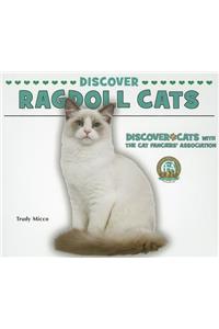 Discover Ragdoll Cats