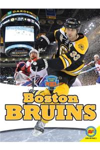 Boston Bruins