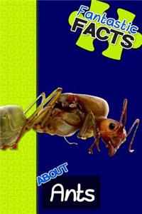 Fantastic Facts about Ants