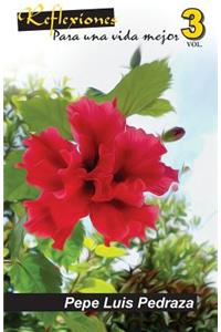 Reflexiones Para Una Vida Mejor - Vol. 3