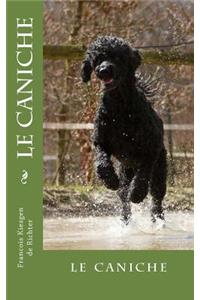 caniche